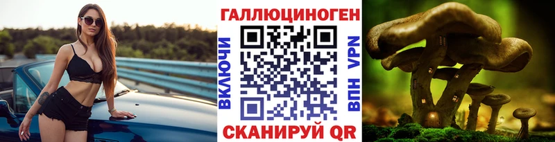 Галлюциногенные грибы прущие грибы  Купить  Ступино 